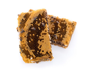 honeycomb isolated on white background