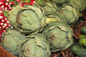 Obraz premium artichaut