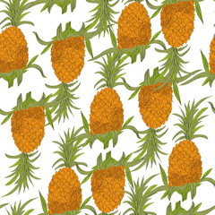 Vector drawn tropical seamless pattern on white background with pineapples in a sketch style. Exotic collection.