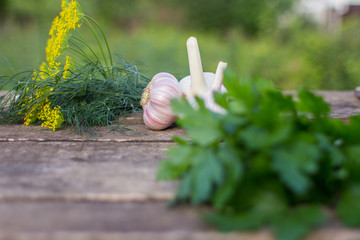 Fresh garlic, parsley and dill on a wooden table