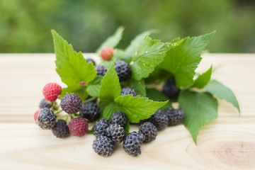 red and black raspberries on a wooden table
