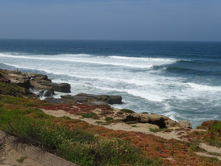Fototapeta na wymiar Waves along the California Coast