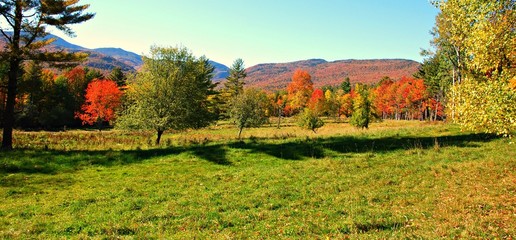 Colorful Autumn Countryside
In the Fall, the mountains, woods and fields of Vermont come alive with a riot of color.