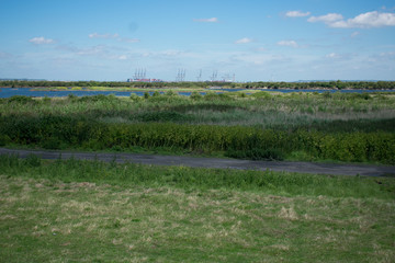 Marsh land