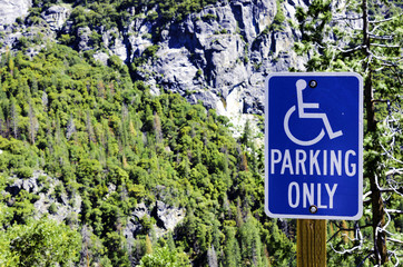 Handicap Parking Sign