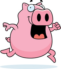 Pig Running