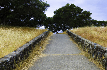 Public Pathway at a Scenic Point