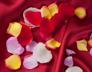 Rose petals on the red silk cloth