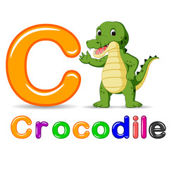 Alphabet C with Crocodile cartoon