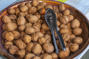 Nutcracker among hazelnuts and walnuts