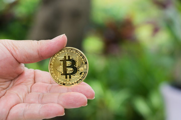 Hand holding golden Bitcoin with green natural background.