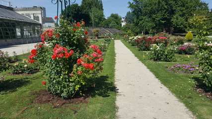 jardin fleurie