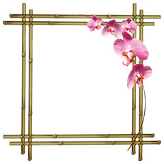 Orchid flower on bamboo frame. Vector illustration.