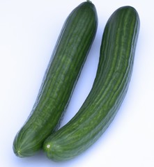 Ripe cucumber long isolated on white background.