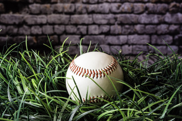 isolated white baseball in green grass with brick wall background