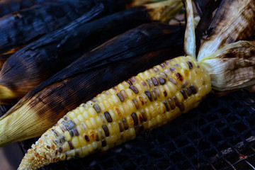Close-up grilled corns