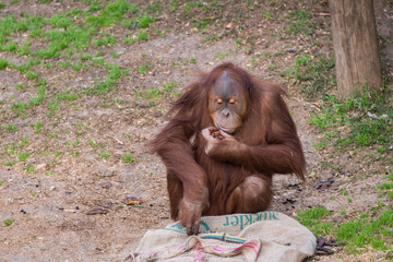 Morning Tour at Safari Ramat Gan