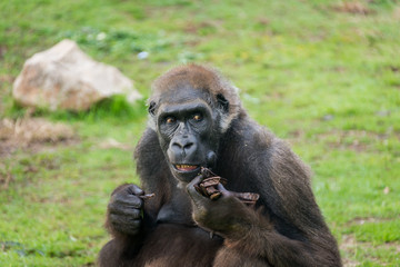 Morning Tour at Safari Ramat Gan