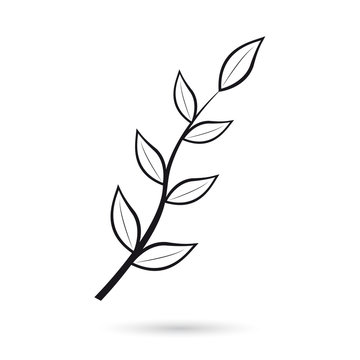 Icon branch with black leaves on white background