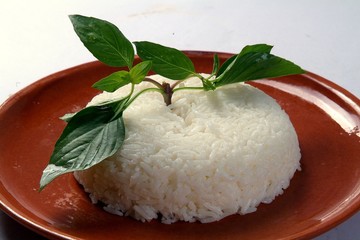 Steamed rice with decorations on brown dish