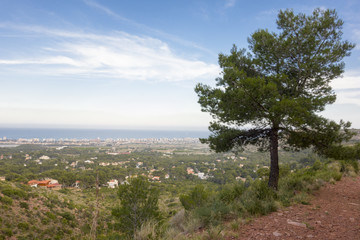 Through the desert of the palms in castellon, spain