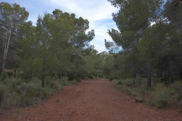 Through the desert of the palms in castellon, spain