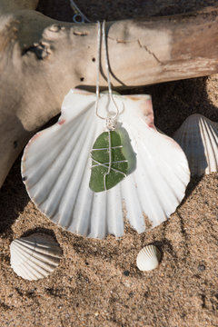 Unique handmade green sea glass jewellery, with a silver chain in a sea shell.