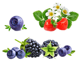 Berries collection. Raspberry, blueberry, currant, blackberry,strawberry isolated