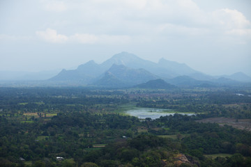 View from the Sigiriya rock. Sri Lanka