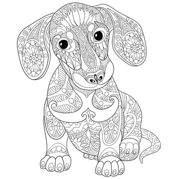 Coloring book page of dachshund puppy dog, isolated on white background. Freehand sketch drawing for adult antistress colouring with doodle and zentangle elements.