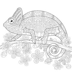 Coloring book page of chameleon lizard and stylized tropical flowers. Freehand sketch drawing for adult antistress colouring with doodle and zentangle elements.