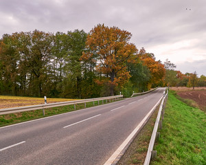 Fototapeta premium rural road under cloudy sky