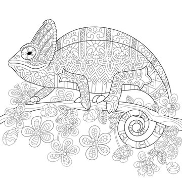 Coloring book page of chameleon lizard and stylized tropical flowers. Freehand sketch drawing for adult antistress colouring with doodle and zentangle elements.