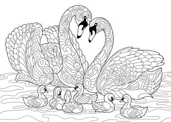 Fototapeta premium Coloring book page of swan birds family. Freehand sketch drawing for adult antistress colouring with doodle and zentangle elements.