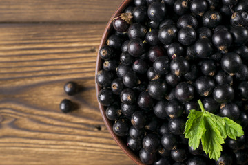 Black currant on wooden table with leaf sprig