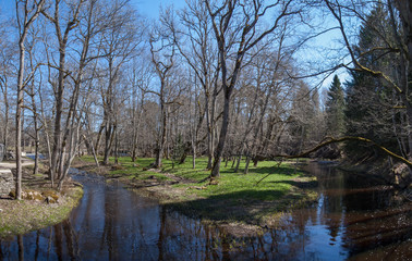 Fototapeta na wymiar River at spring. Keila river, Estonia.