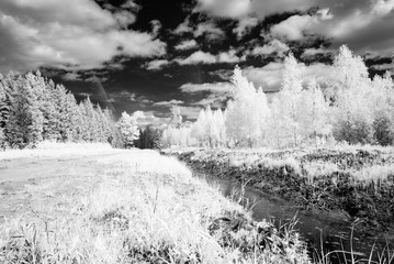 countryside fields in summer. infrared image