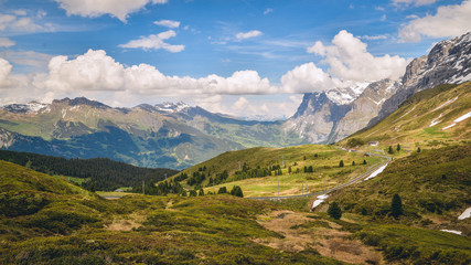 Fototapeta na wymiar Grindelwald village, beautiful landscape in june, mountain scenery, Switzerland