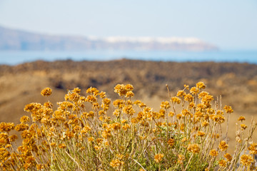 volcanic land in europe santorini greece sky and mediterranean sea