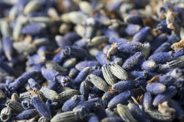 Raw Organic Dry Purple Lavender Spice