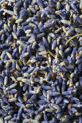 Raw Organic Dry Purple Lavender Spice