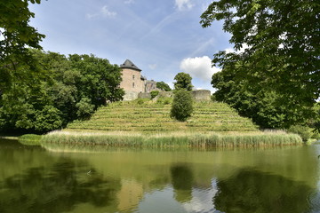 Fototapeta na wymiar L'un des étangs du domaine avec son champ de vigne et le remarquable château-fort de Gaasbeek , près de Bruxelles 