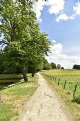 Fototapeta na wymiar Chemin entre l'un des étangs et les champs au domaine du château de Gaasbeek ,près de Bruxelles 