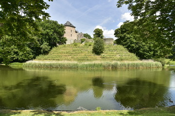 L'étang avec ses reflets contrastants devant le champs de vigne au domaine du château de Gaasbeek ,près de Bruxelles