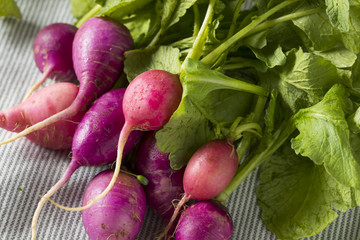 Raw Organic Pink and Purple Radishes