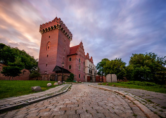 Fototapeta na wymiar Zamek królewski w Poznaniu na wzgórzu Przemysła