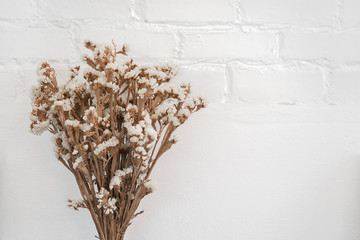 dried flowers on white wall for background