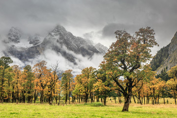 Laubfärbung im Ahornboden Karwendel