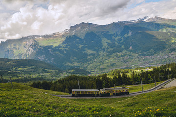 Obraz na płótnie Canvas Swiss mountain train crossed Alps