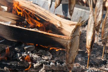 Fish on a skick is smoked by the open fire